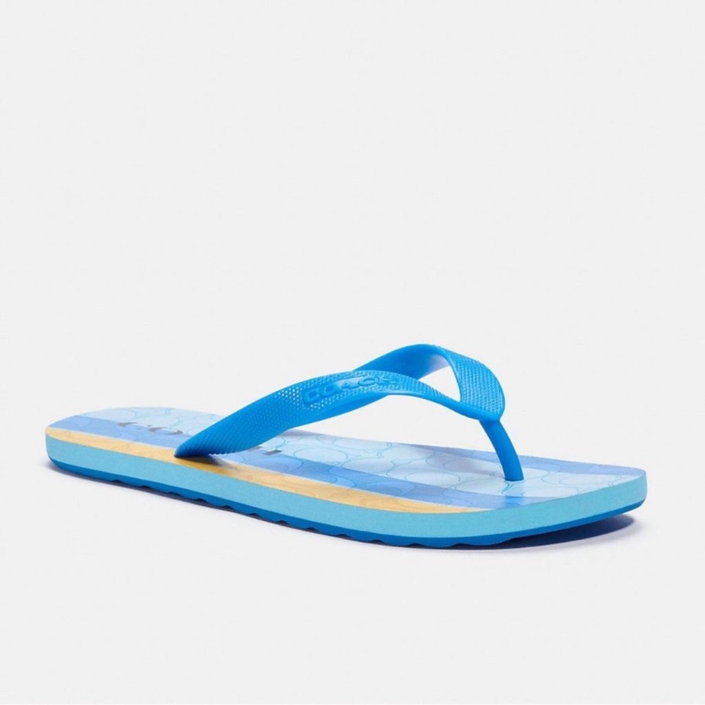 Coach Zak Signature Blue Yellow Striped Flip Flops Sandals